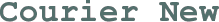 Courier New font