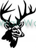 Buck (2) vinyl decal
