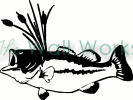 bass