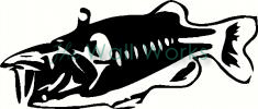Fish (4) vinyl decal