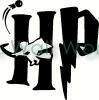 Harry Potter Quidditch vinyl decal