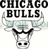 Chicago Bulls vinyl decal