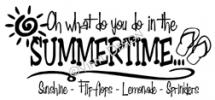 What do you do in the summertime vinyl decal
