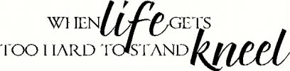  vinyl decal