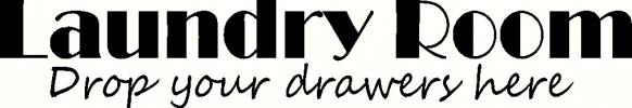 Laundry: Drop Your Drawers vinyl decal