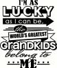 Lucky As I Can Be vinyl decal
