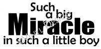 Such a Big Miracle in Such a Little Boy vinyl decal