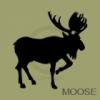 Moose vinyl decal