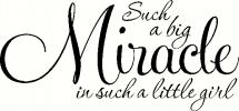 Such a Big Miracle is Such a Little Girl vinyl decal