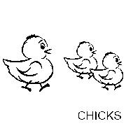 3 Chicks vinyl decal