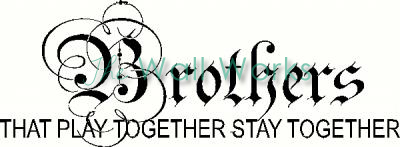 Brothers - Play Together vinyl decal