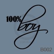 100% Boy vinyl decal