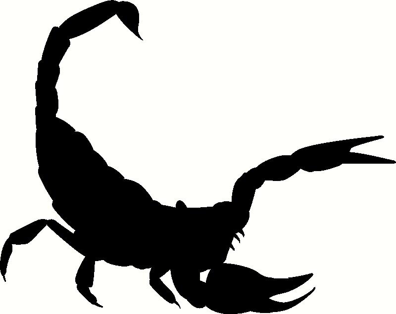 Scorpion Silhouette vinyl decal