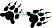 Bear Claws vinyl decal