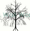 Tree (12) vinyl decal