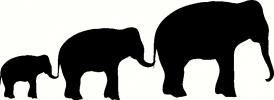 3 Elephants vinyl decal