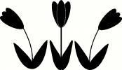 3 Tulips vinyl decal