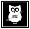 Owl Framed vinyl decal