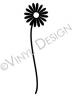 Daisy (1) vinyl decal