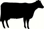 Cow vinyl decal