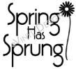 Spring Has Sprung vinyl decal