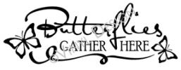 Butterflies Gather Here vinyl decal