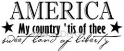 America vinyl decal