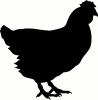 Hen vinyl decal