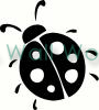 Lady Bug vinyl decal