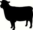 Sheep vinyl decal