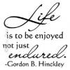 Life is to Be Enjoyed (1) vinyl decal