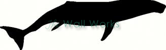 Humpback Whale (2) vinyl decal