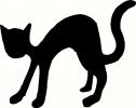 Black Cat vinyl decal