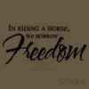 Borrow Freedom vinyl decal