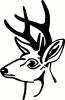 Deer Head (2) vinyl decal