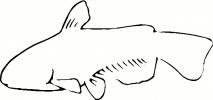 Fish (7) vinyl decal