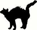 Halloween Cat vinyl decal