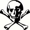 Skull & Crossbones (2) vinyl decal