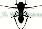 Insect (2) vinyl decal