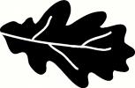 Leaf (2) vinyl decal