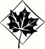 Leaf Frame vinyl decal