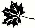 Leaf vinyl decal