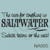 The Cure for anything is Saltwater vinyl decal