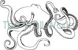 Octopus vinyl decal