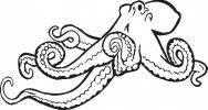 Octopus Outline vinyl decal