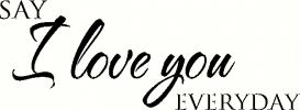 Say I Love You Everyday (2) vinyl decal