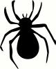 Spider (5) vinyl decal