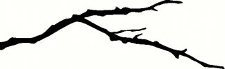 Tree Branch (2) vinyl decal