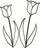 Tulip Set vinyl decal